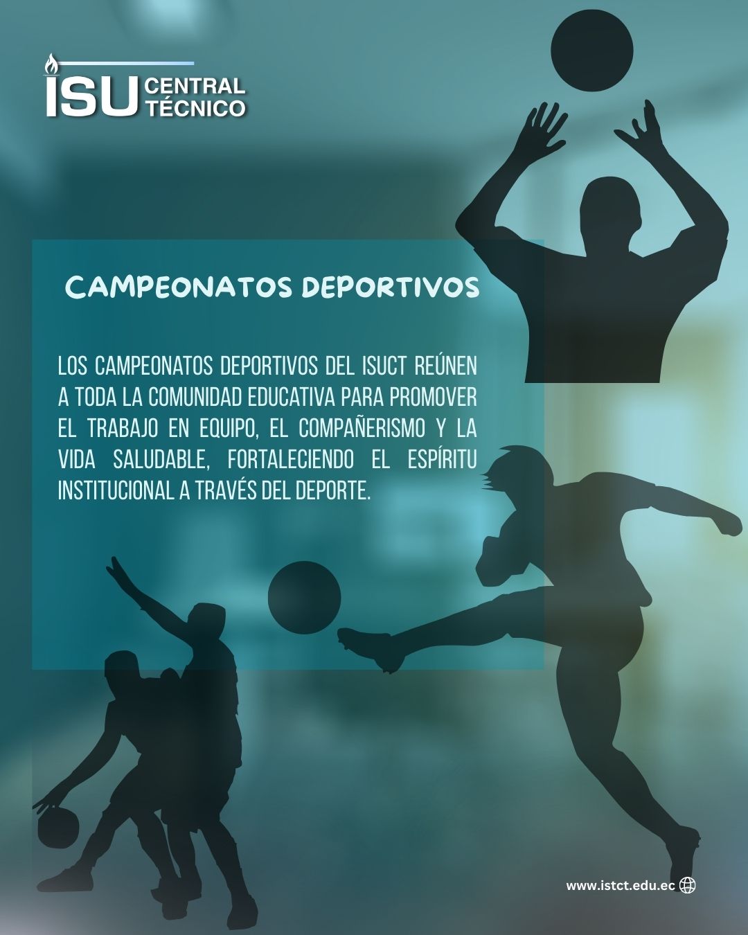 Image 2025-12-12 at 14.41.46